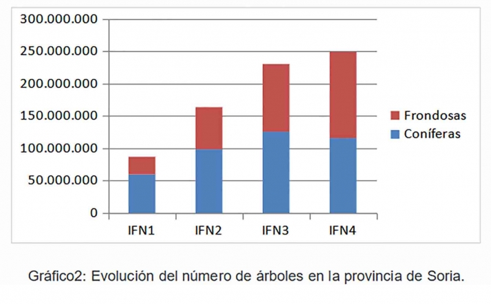 En los &uacute;ltimos 60 a&ntilde;os la provincia de Soria ha aumentado su superficie boscosa en un 60 % | Imagen 2
