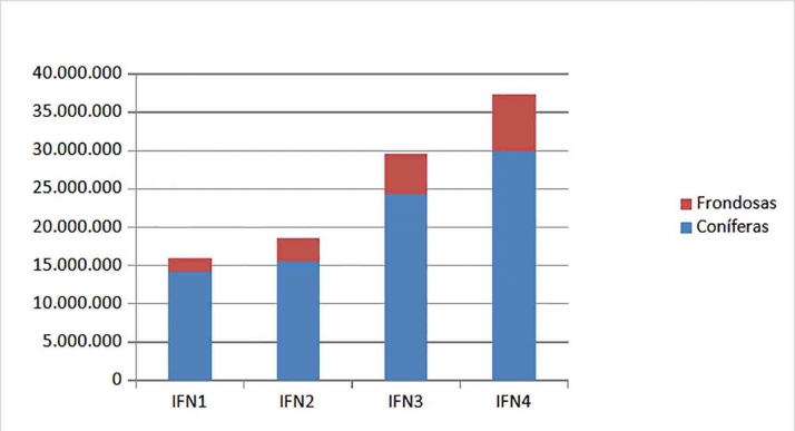 En los &uacute;ltimos 60 a&ntilde;os la provincia de Soria ha aumentado su superficie boscosa en un 60 % | Imagen 3