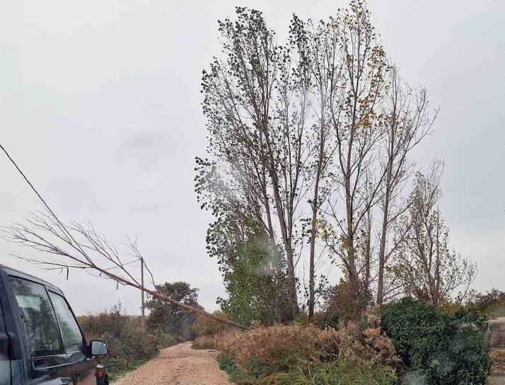 El fuerte viento roza los 100 km/h en Arcos | Imagen 1