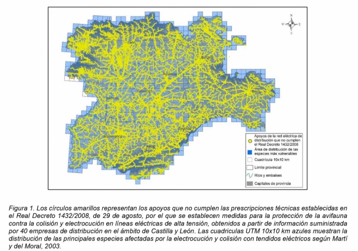 La Junta iniciar&aacute; una nueva declaraci&oacute;n de toda Castilla y Le&oacute;n como Zona de Protecci&oacute;n de Avifauna | Imagen 1
