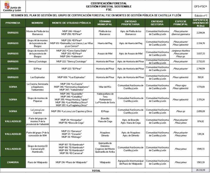 Montes de cinco municipios de Soria obtienen el certificado que acredita la Gesti&oacute;n Forestal Sostenible seg&uacute;n los requisitos FSC | Imagen 1
