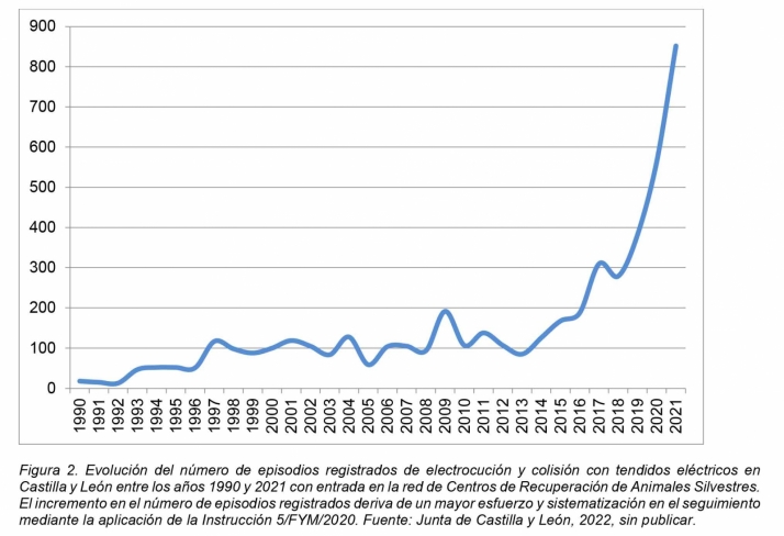 La Junta iniciar&aacute; una nueva declaraci&oacute;n de toda Castilla y Le&oacute;n como Zona de Protecci&oacute;n de Avifauna | Imagen 2