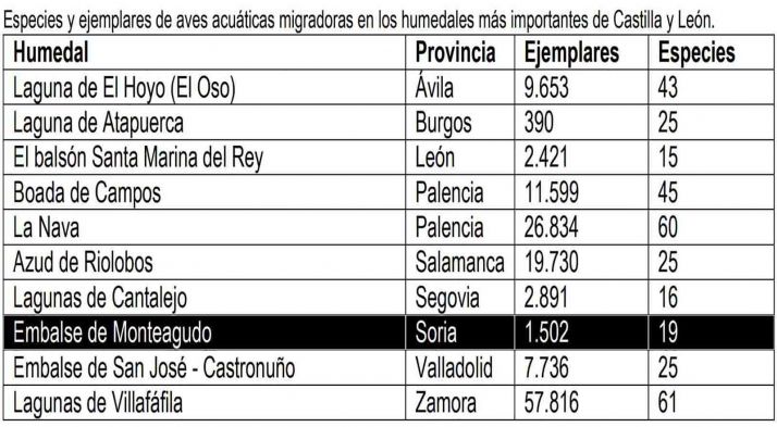 Las Casas del Parque programan actividades de observaci&oacute;n de aves acu&aacute;ticas en el D&iacute;a Mundial de los Humedales | Imagen 1