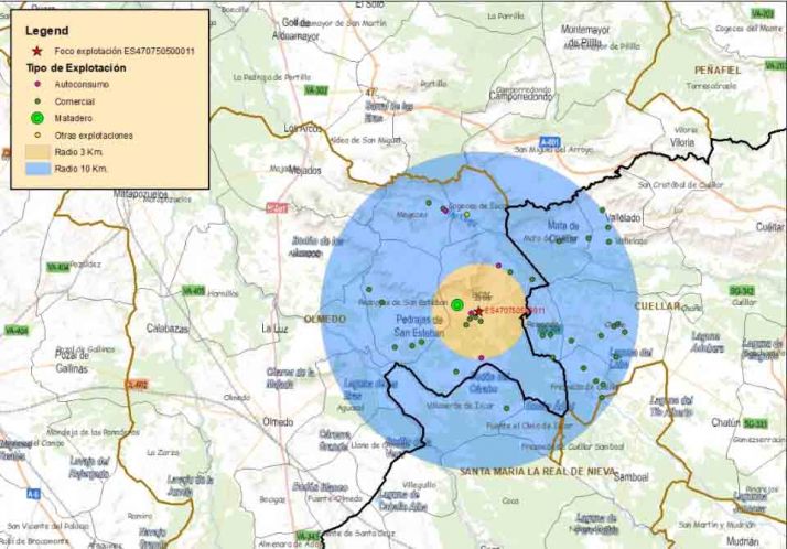 Un foco de gripe aviar en Valladolid llevar&aacute; al sacrificio de m&aacute;s de 130.000 gallinas | Imagen 1
