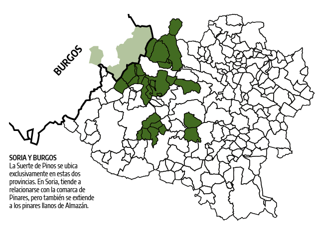 Mapa de la suerte de pinos