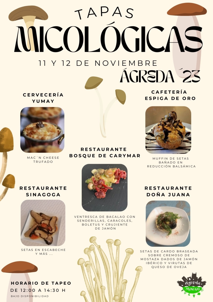 Micolog&iacute;a, gastronom&iacute;a y teatro este fin de semana en &Aacute;greda | Imagen 1