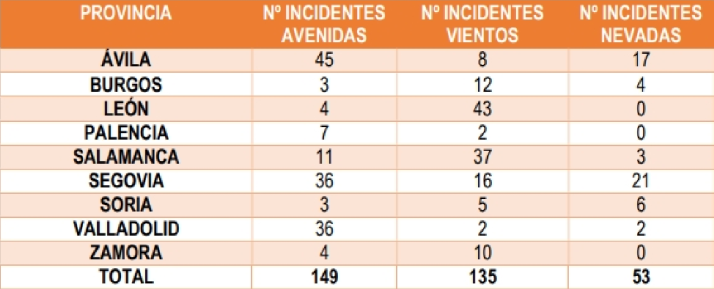 Temporal en Castilla y Le&oacute;n: Soria registra 14 incidentes durante la alerta por fen&oacute;menos meteorol&oacute;gicos adversos | Imagen 1