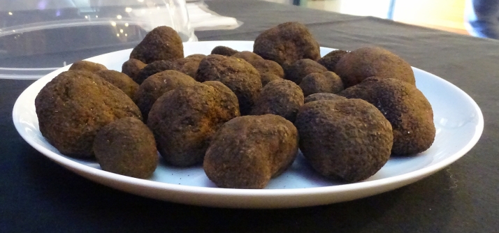 Los secretos que esconde la trufa negra de Soria | Imagen 1