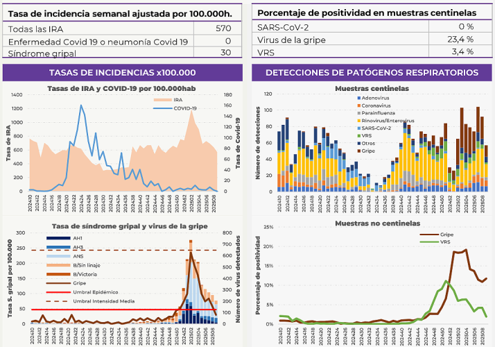 La gripe remite en Castilla y Le&oacute;n: la tasa cae por debajo del umbral epid&eacute;mico | Imagen 1