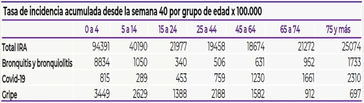 Las infecciones respiratorias agudas, a la baja en Castilla y Le&oacute;n | Imagen 1
