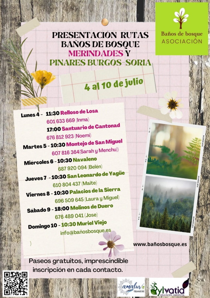 San Leonardo invita a sumergirse en un apasionante ba&ntilde;o de bosque | Imagen 1