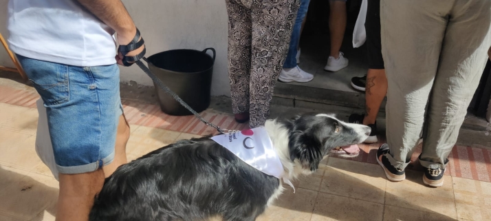 EN FOTOS | De ruta para recoger la tajada por las Cuadrillas en el S&aacute;bado Ag&eacute;s | Imagen 39