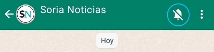 &iexcl;Soria Noticias ya est&aacute; en WhatsApp! Ap&uacute;ntate a nuestro canal para no perderte nada | Imagen 2