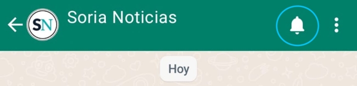&iexcl;Soria Noticias ya est&aacute; en WhatsApp! Ap&uacute;ntate a nuestro canal para no perderte nada | Imagen 3
