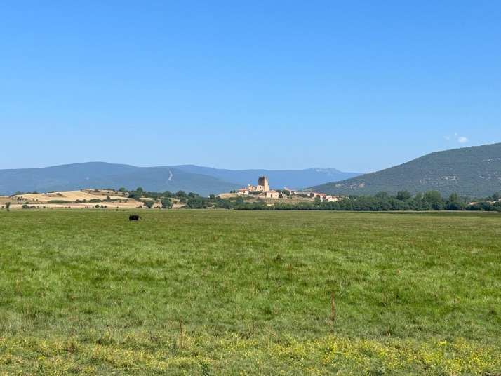 El curioso caso de la laguna de un pueblo de Soria: De estar llena, a ser pasto para vacas | Imagen 2