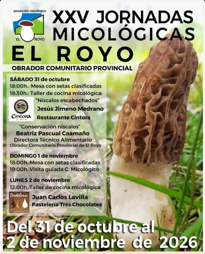 El n&iacute;scalo y la cocina en directo protagonizan las XXV Jornadas Micol&oacute;gicas de El Royo | Imagen 1