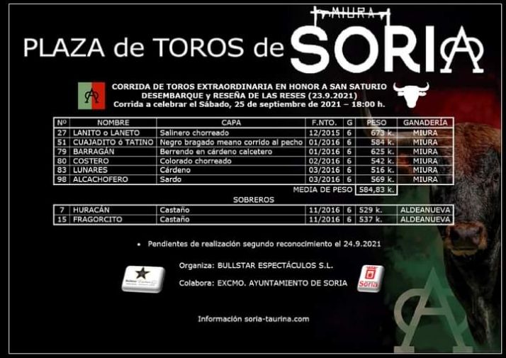 Fotos | As&iacute; son los Miuras de ma&ntilde;ana en Soria: Casi 700 kilos de toro | Imagen 1