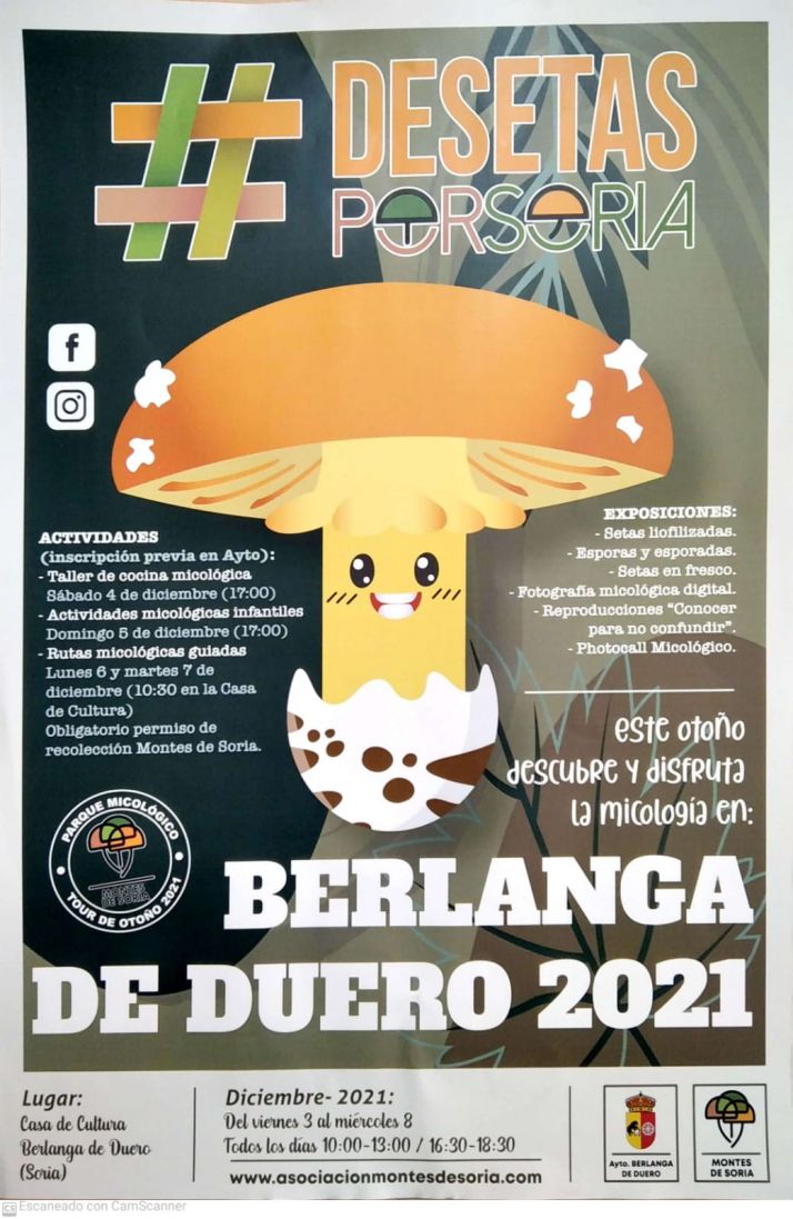 Berlanga prepara un puente intenso con mucha micolog&iacute;a y la mejor artesan&iacute;a | Imagen 2