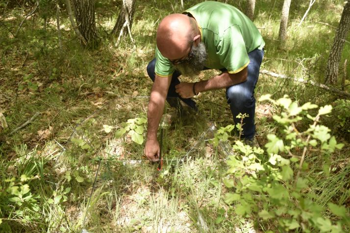 Una de las c&aacute;maras instaladas