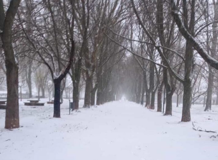 Una ruta persiguiendo la nieve por tierras sorianas | Imagen 8