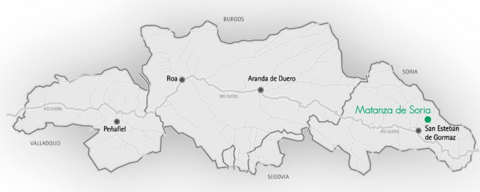 Ana Carazo: valiente apuesta por la Ribera soriana | Imagen 2