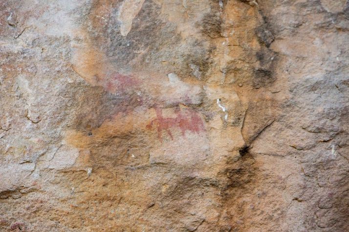 Valonsadero: Un viaje por la prehistoria  | Imagen 2