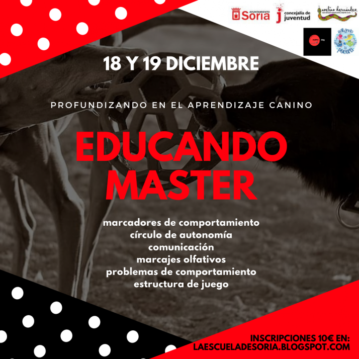 Ayuntamiento de Soria y 'La Pecera' presentan cinco cursos muy variados | Imagen 5