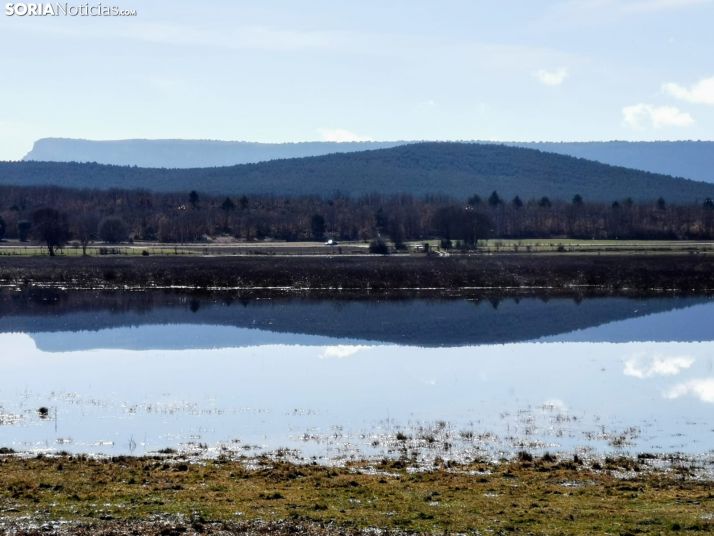 Cinco lagunas, y dos sorpresas, para disfrutar de la primavera en Soria | Imagen 5