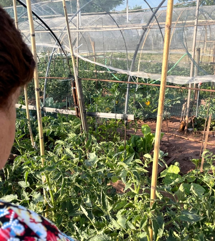 Mucho m&aacute;s que tomates, los huertos urbanos echan ra&iacute;ces en Soria | Imagen 1