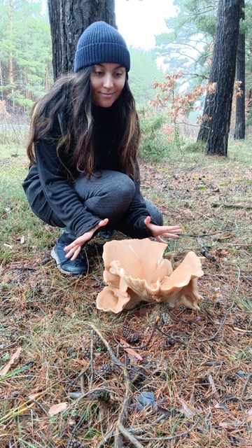 &iquest;Eres capaz de identificar esta enorme seta encontrada en Soria? | Imagen 1