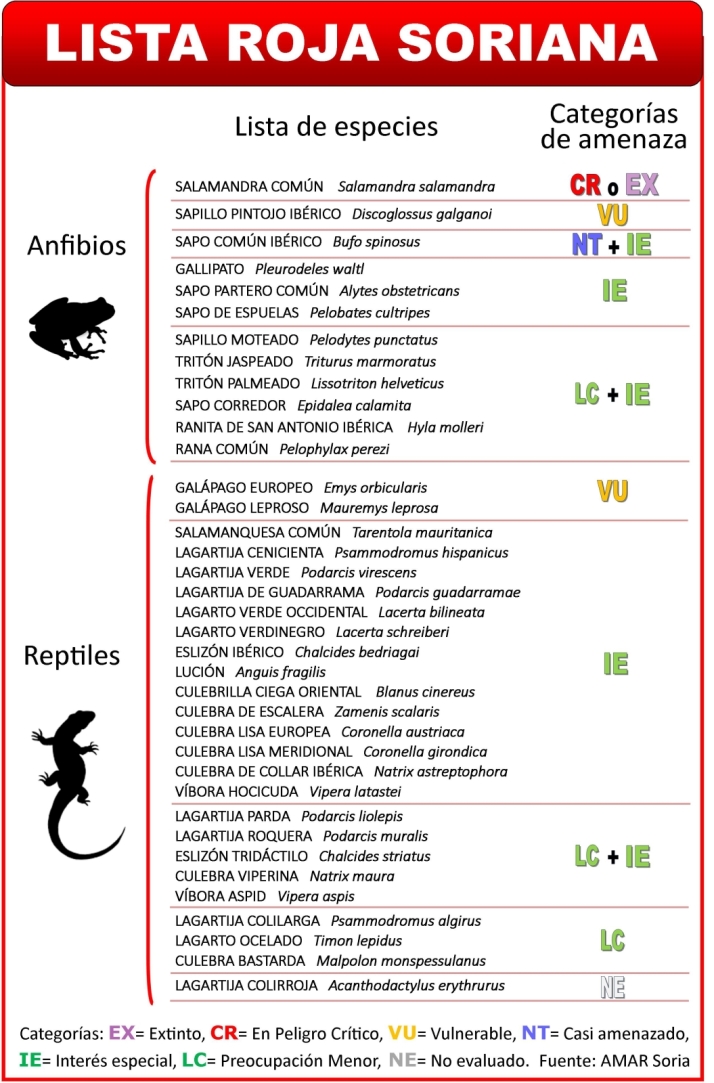 El amplio mosaico de anfibios y reptiles de Soria est&aacute; en peligro | Imagen 1