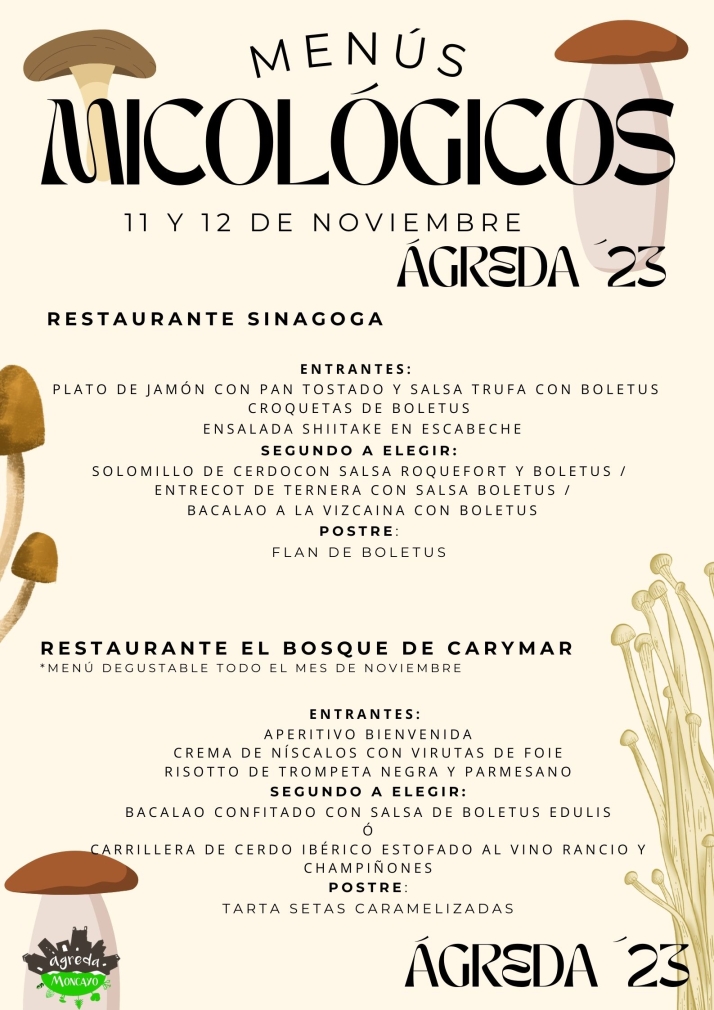 Micolog&iacute;a, gastronom&iacute;a y teatro este fin de semana en &Aacute;greda | Imagen 2
