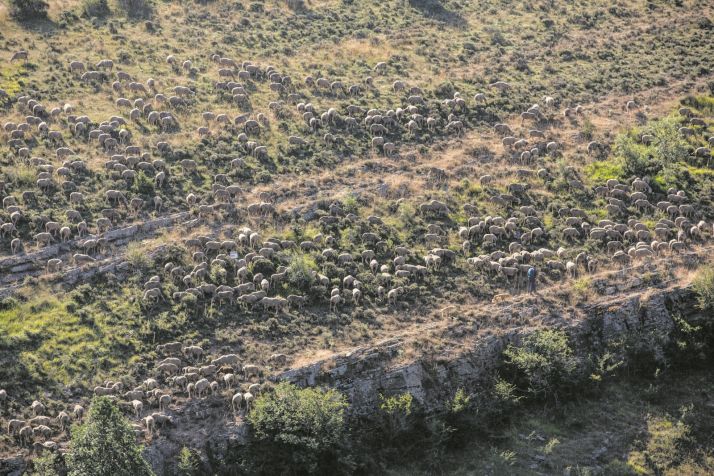 4 planes inesperados para enamorarte de Tierras Altas este agosto | Imagen 2