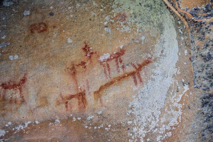 Valonsadero: Un viaje por la prehistoria  | Imagen 5