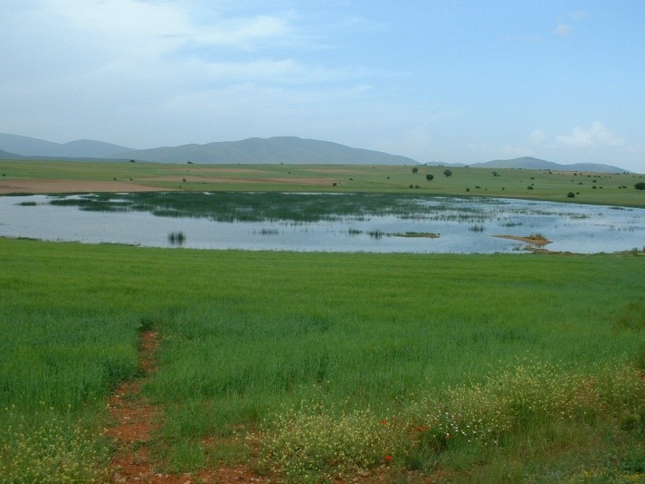 Cuando el cielo y la tierra se unen en el este de Soria a los pies del Moncayo | Imagen 3