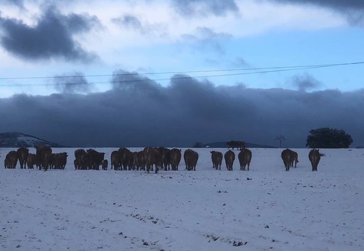 Una ruta persiguiendo la nieve por tierras sorianas | Imagen 3