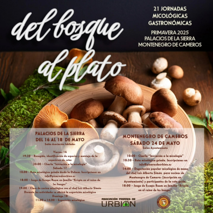 Actividades y horarios de las XXI Jornadas Micol&oacute;gicas Gastron&oacute;micas 'Del bosque al plato' | Imagen 1