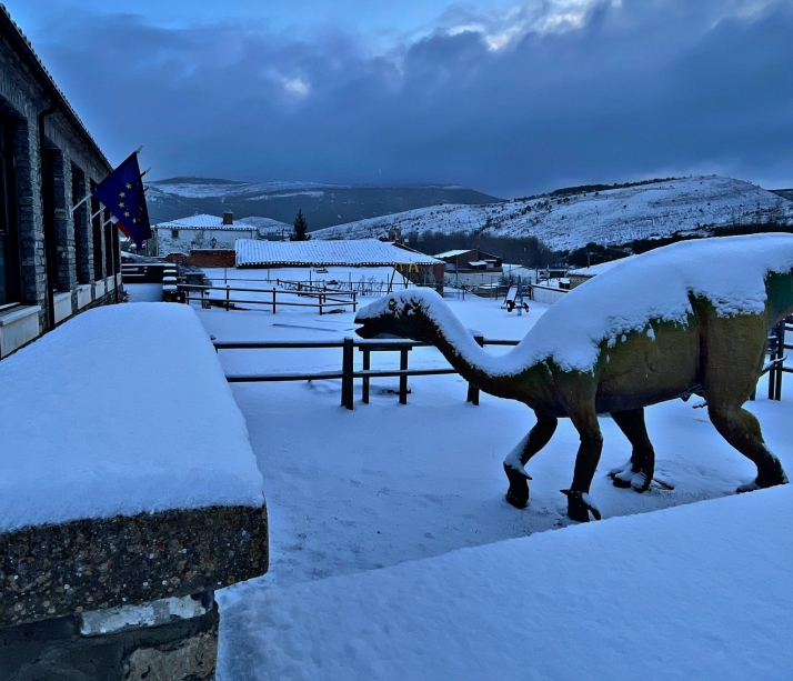 Una ruta persiguiendo la nieve por tierras sorianas | Imagen 13