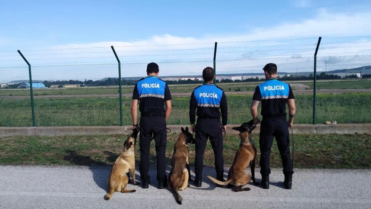 Castilla y León celebra 12 actividades formativas para bomberos, policías locales y voluntarios