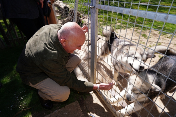 Castilla y León refuerza el programa Más que Mascotas con una serie de videos