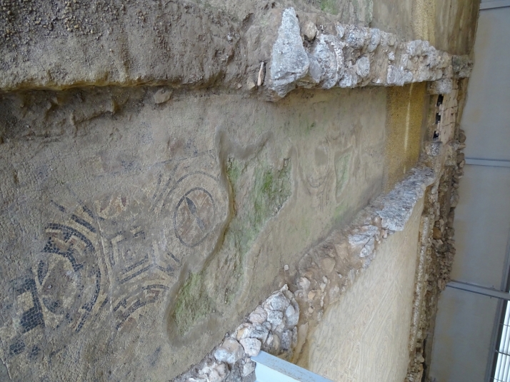 Adjudicada por 48.000 euros la restauración de un mosaico en la villa romana de las Cuevas de Soria