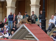 Una imagen del acto de la UME hoy en Soria. /PC