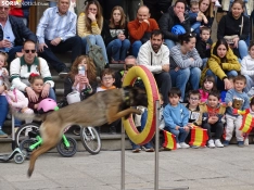 Una imagen del acto de la UME hoy en Soria. /PC