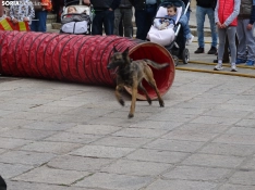 Una imagen del acto de la UME hoy en Soria. /PC