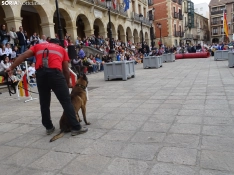 Una imagen del acto de la UME hoy en Soria. /PC