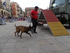 Una imagen del acto de la UME hoy en Soria. /PC