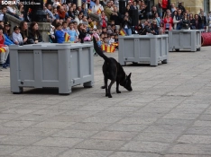 Una imagen del acto de la UME hoy en Soria. /PC