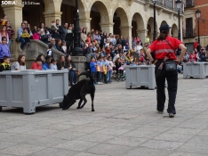 Una imagen del acto de la UME hoy en Soria. /PC