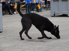 Una imagen del acto de la UME hoy en Soria. /PC