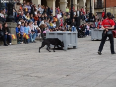 Una imagen del acto de la UME hoy en Soria. /PC